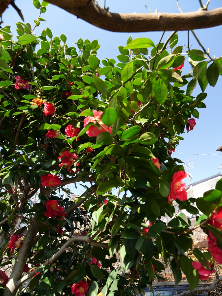 2025-03-07 11_54№(0049).JPG