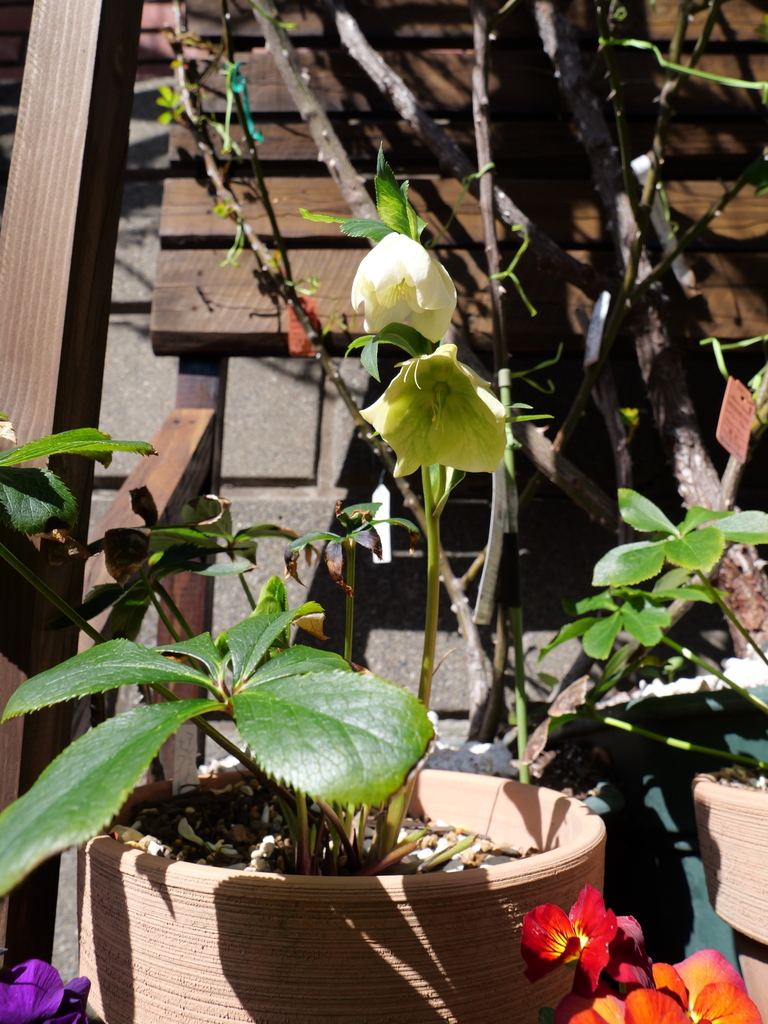 2025-03-07 11_57№(0055).JPG