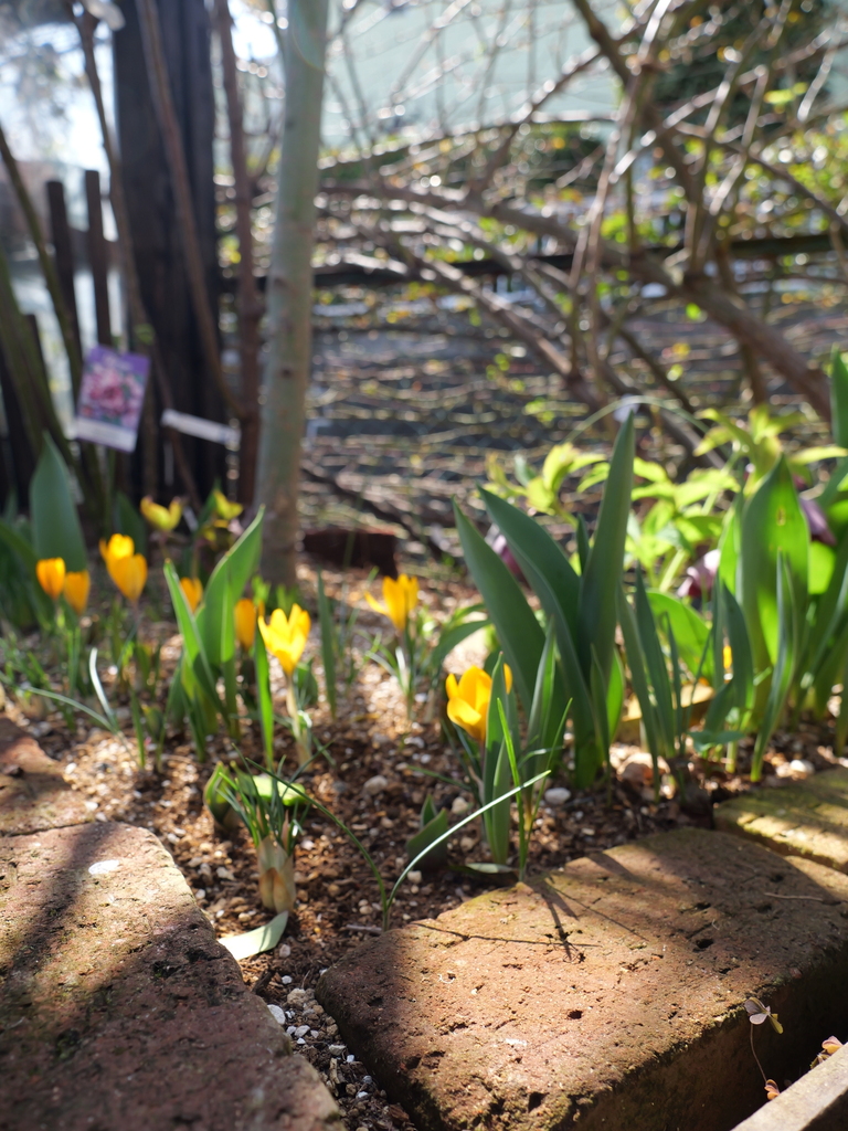 2025-03-07 12_02№(0069).JPG