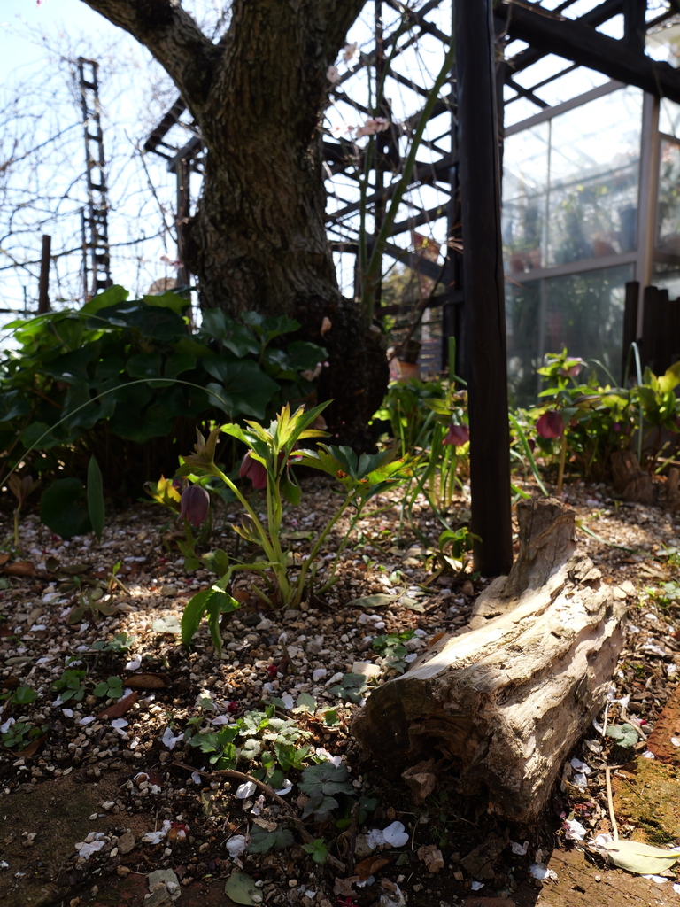 2025-03-07 12_02№(0071).JPG