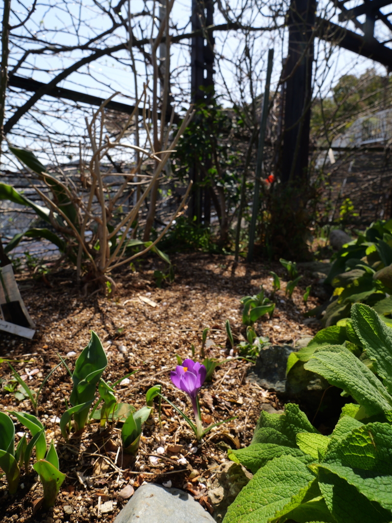 2025-03-07 12_03№(0073).JPG