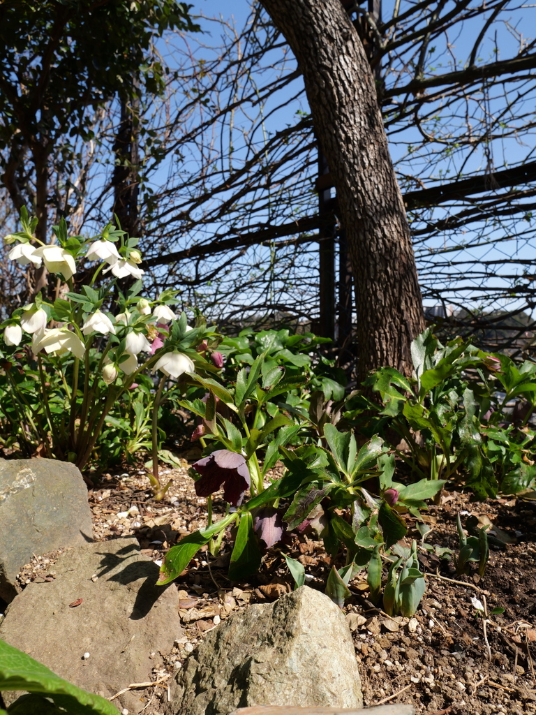 2025-03-07 12_04№(0075).JPG
