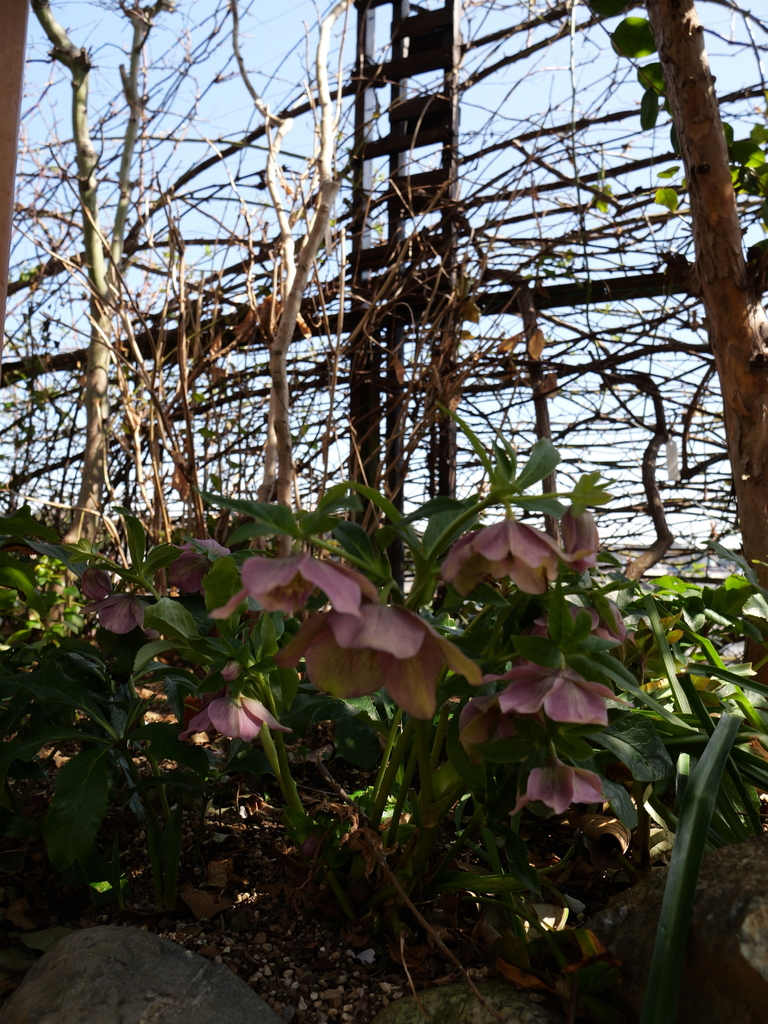 2025-03-07 12_04№(0077).JPG
