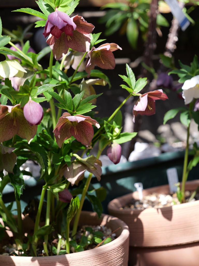 2025-03-07 12_08№(0094).JPG