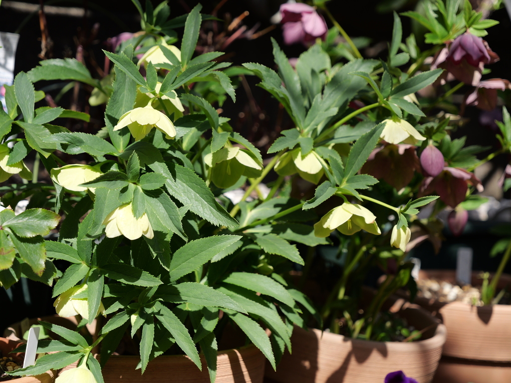 2025-03-07 12_08№(0103).JPG