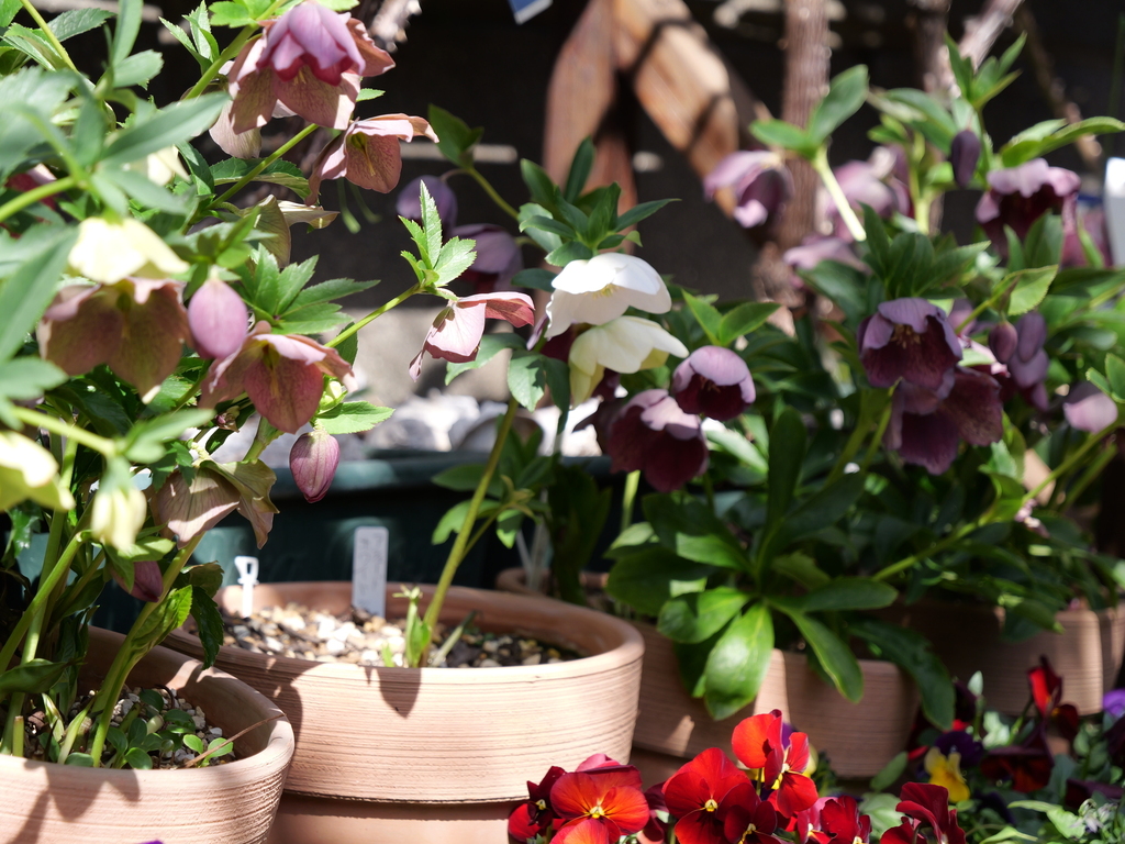 2025-03-07 12_08№(0104).JPG