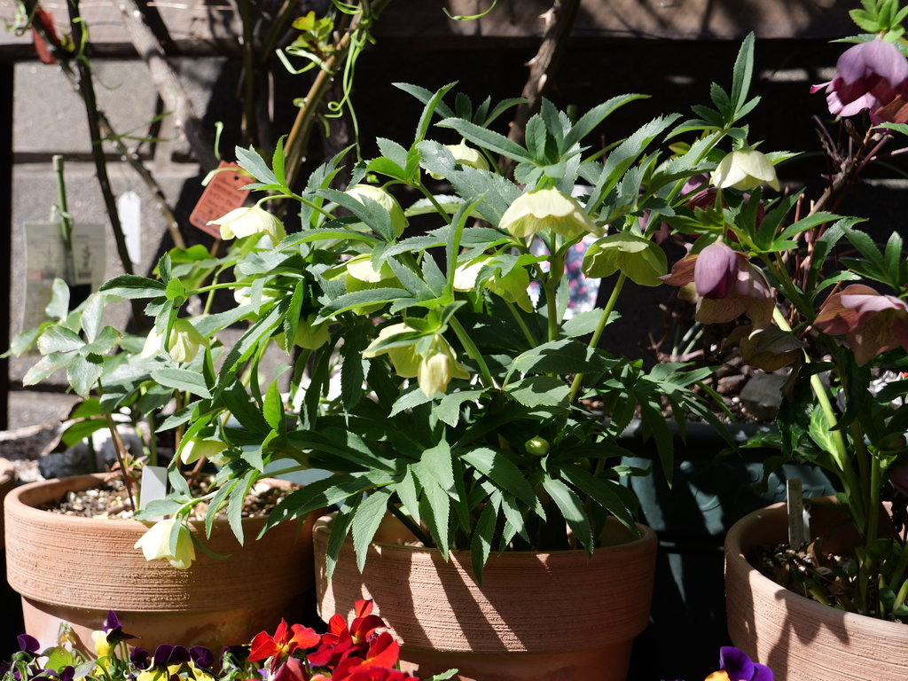 2025-03-07 12_08№(0107).JPG