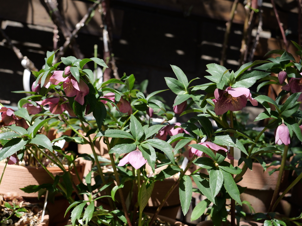2025-03-07 12_08№(0111).JPG