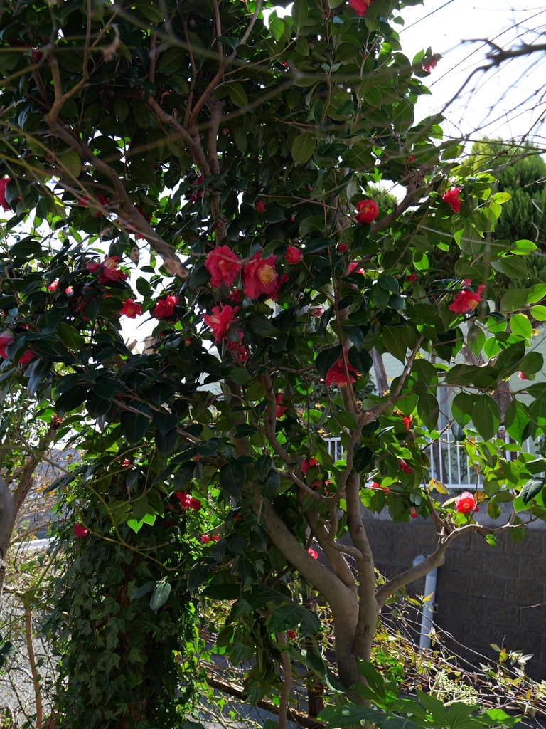 2025-03-07 12_09№(0125).JPG