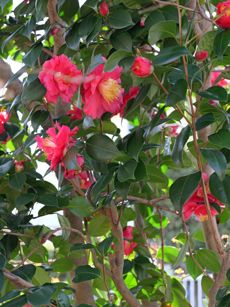 2025-03-07 12_09№(0126).JPG