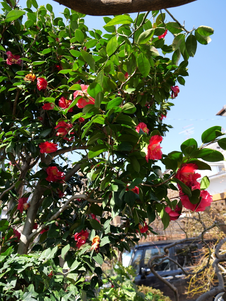 2025-03-07 12_09№(0129).JPG