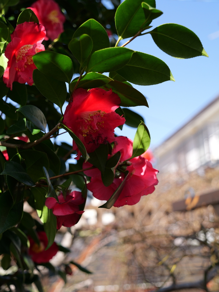 2025-03-07 12_09№(0130).JPG