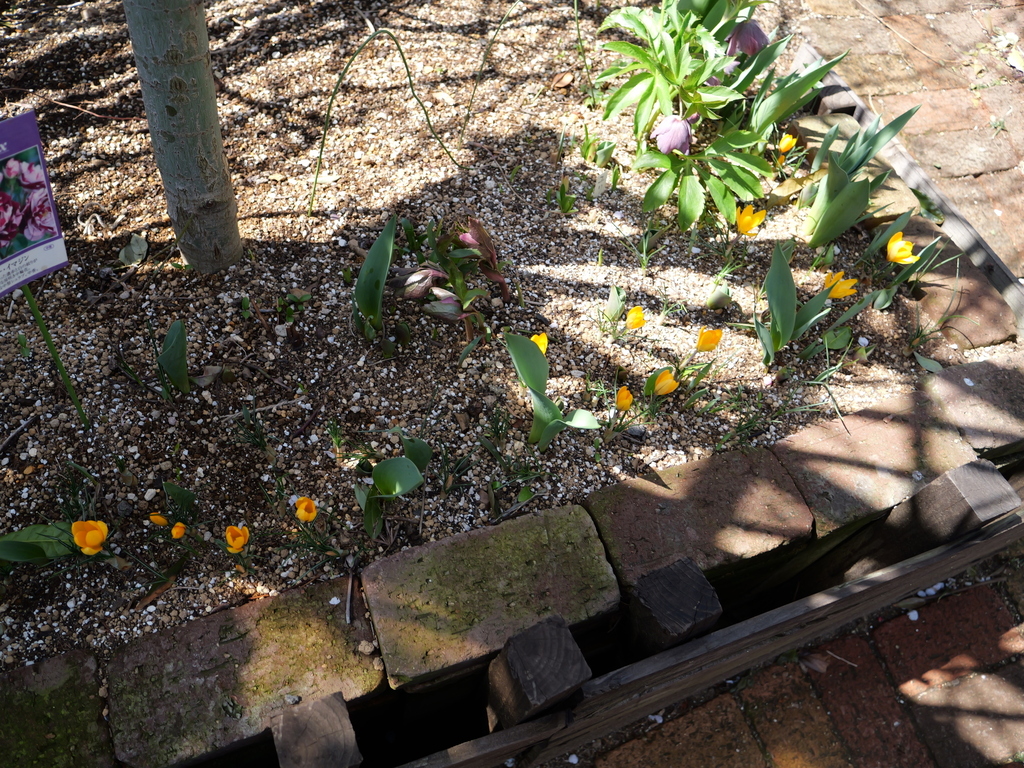 2025-03-07 12_09№(0134).JPG