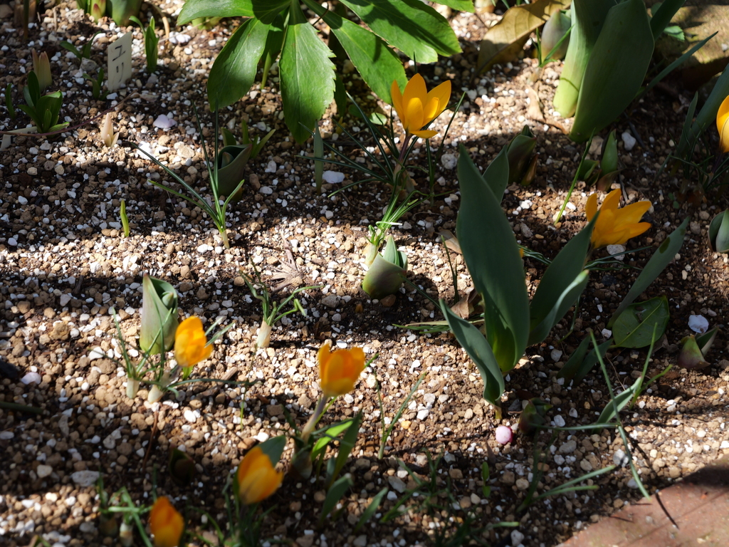 2025-03-07 12_09№(0135).JPG