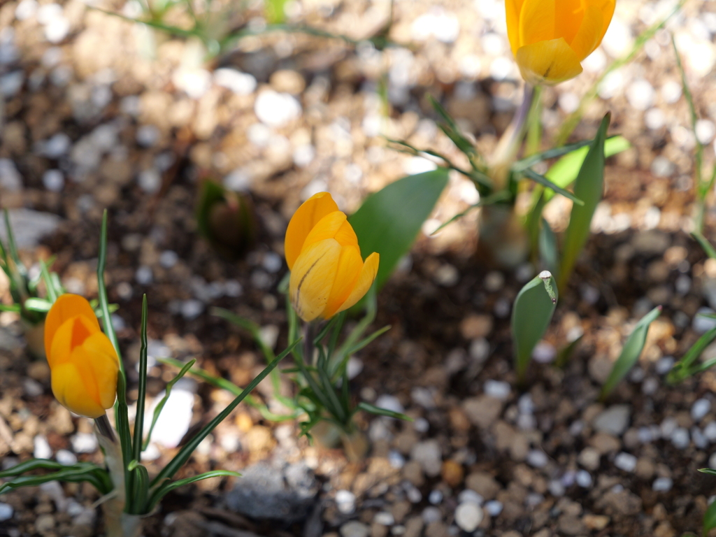 2025-03-07 12_09№(0137).JPG
