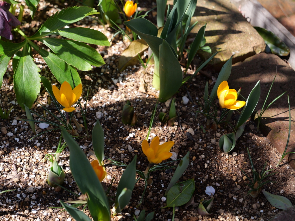 2025-03-07 12_09№(0138).JPG