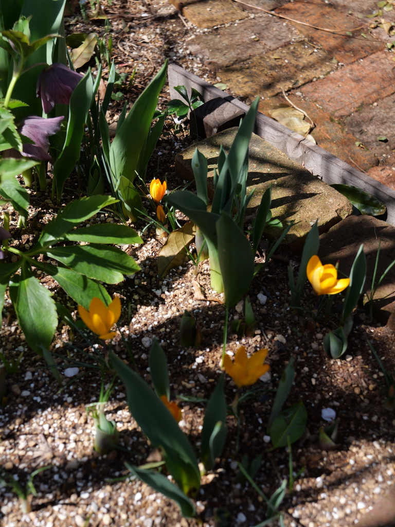 2025-03-07 12_09№(0139).JPG