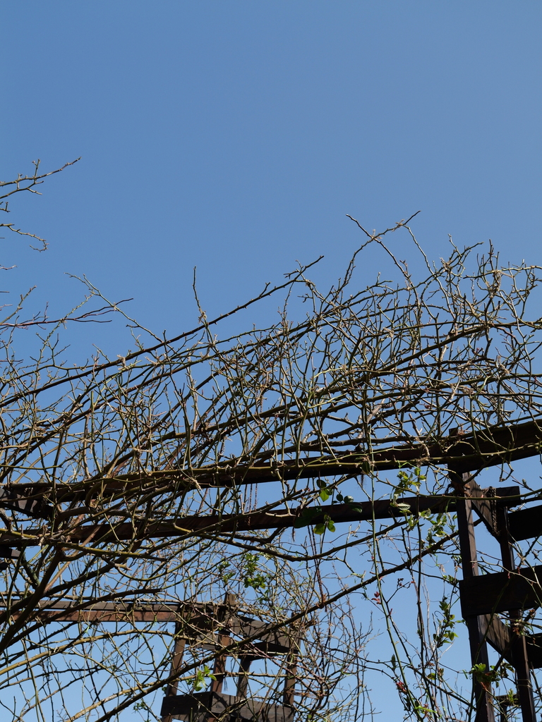 2025-03-07 12_10№(0156).JPG