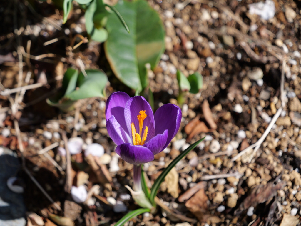 2025-03-07 12_11№(0163).JPG