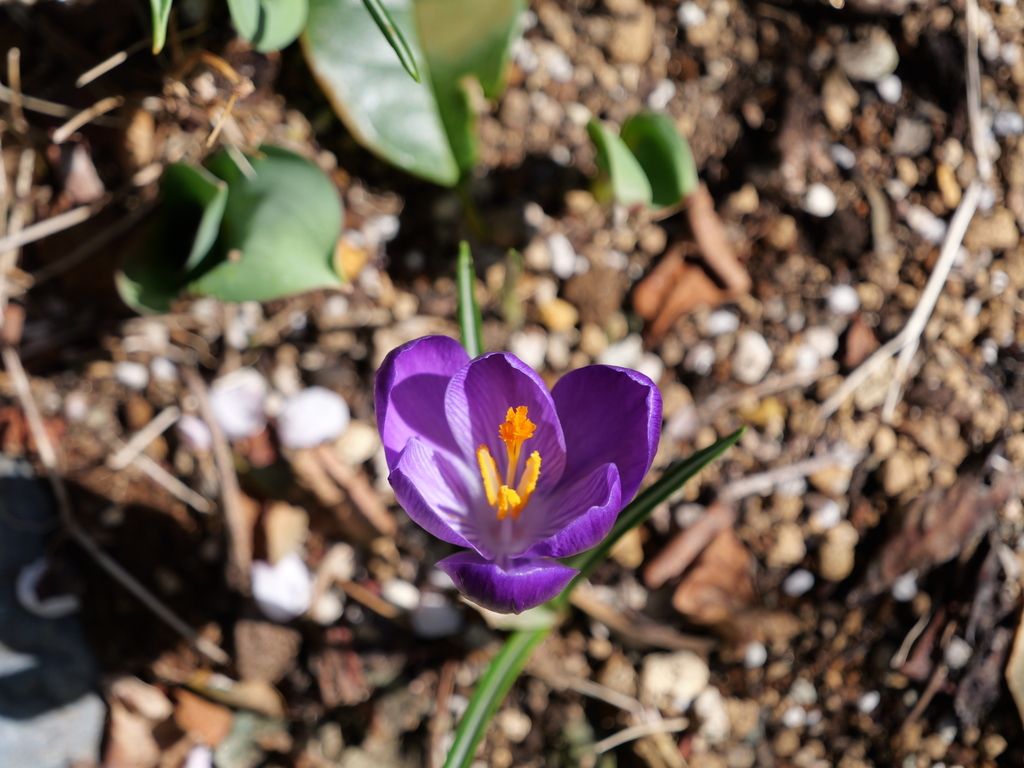 2025-03-07 12_11№(0164).JPG