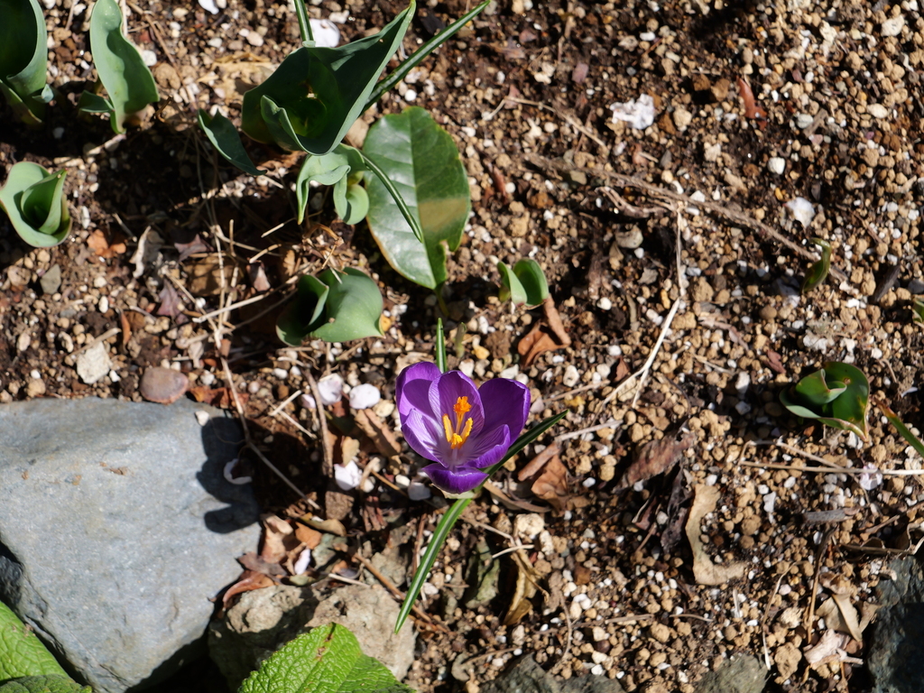 2025-03-07 12_11№(0165).JPG