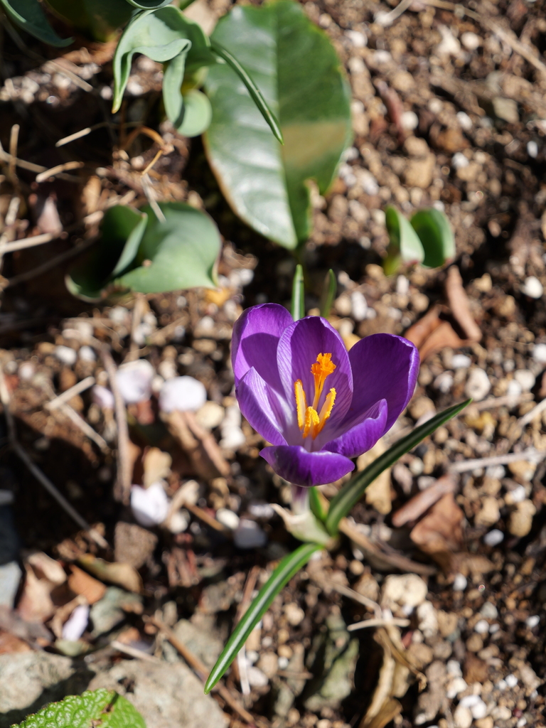 2025-03-07 12_11№(0166).JPG
