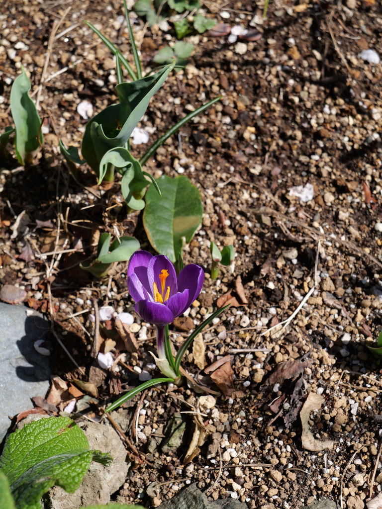 2025-03-07 12_11№(0168).JPG