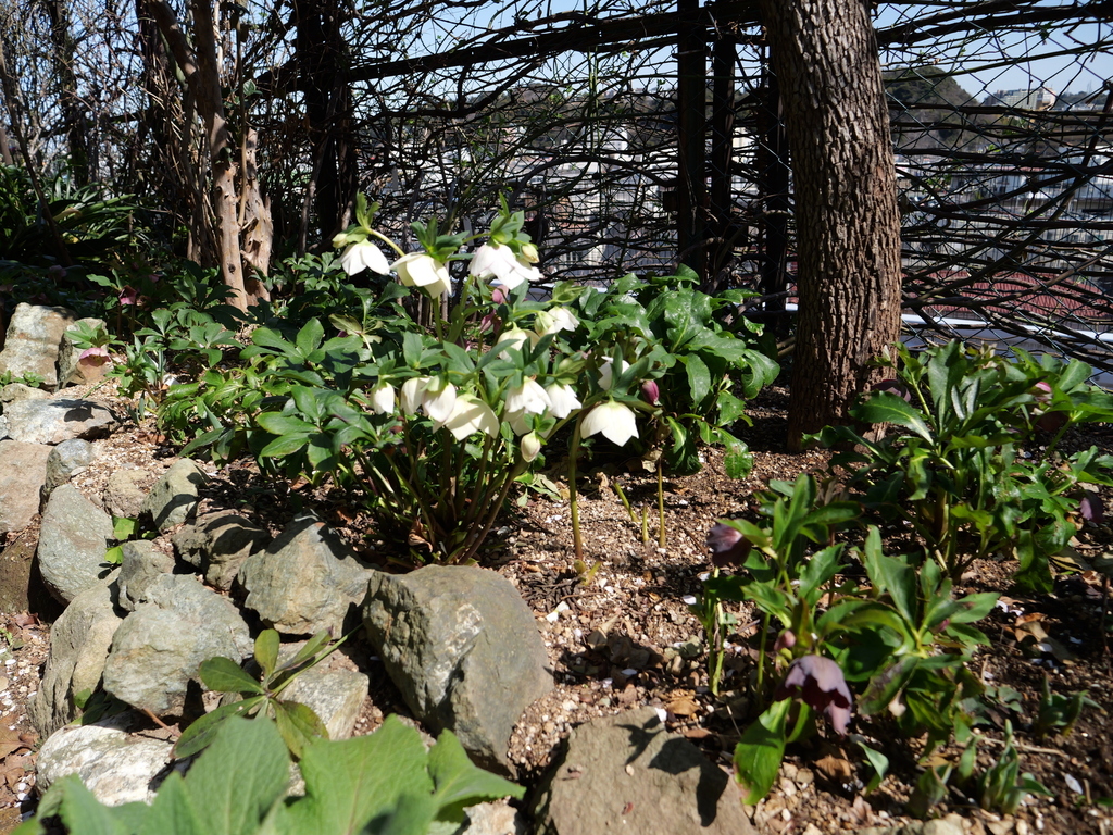 2025-03-07 12_11№(0173).JPG