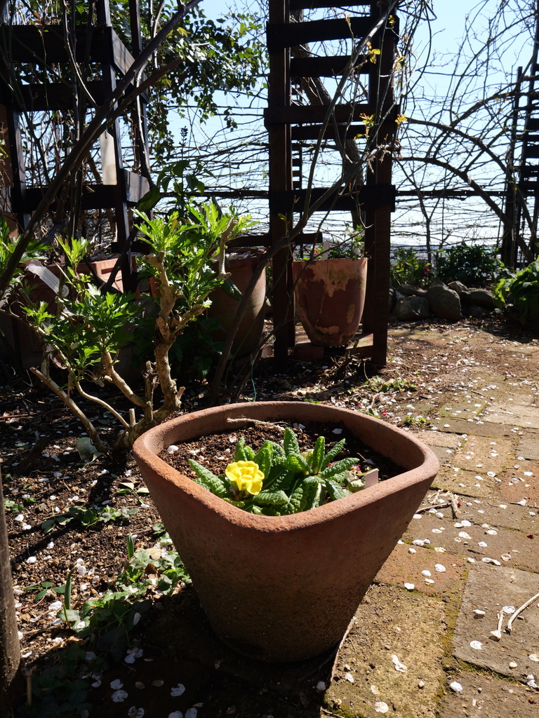 2025-03-10 10_28№(0017).JPG
