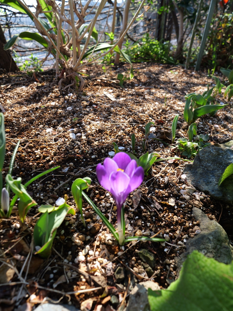 2025-03-10 10_29№(0022).JPG