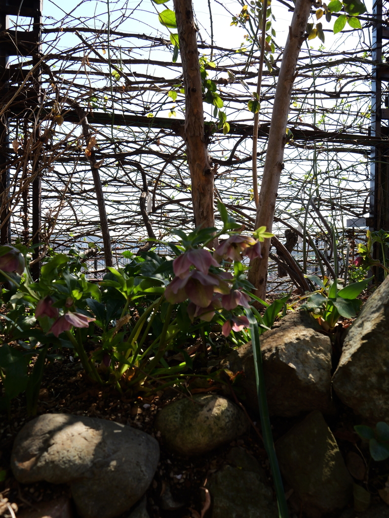 2025-03-10 10_29№(0024).JPG