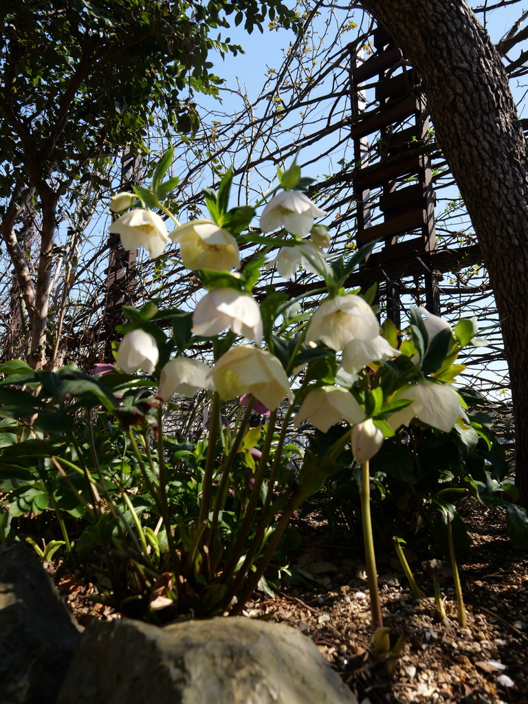 2025-03-10 10_30№(0027).JPG