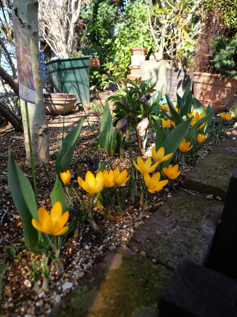 2025-03-10 10_30№(0029).JPG