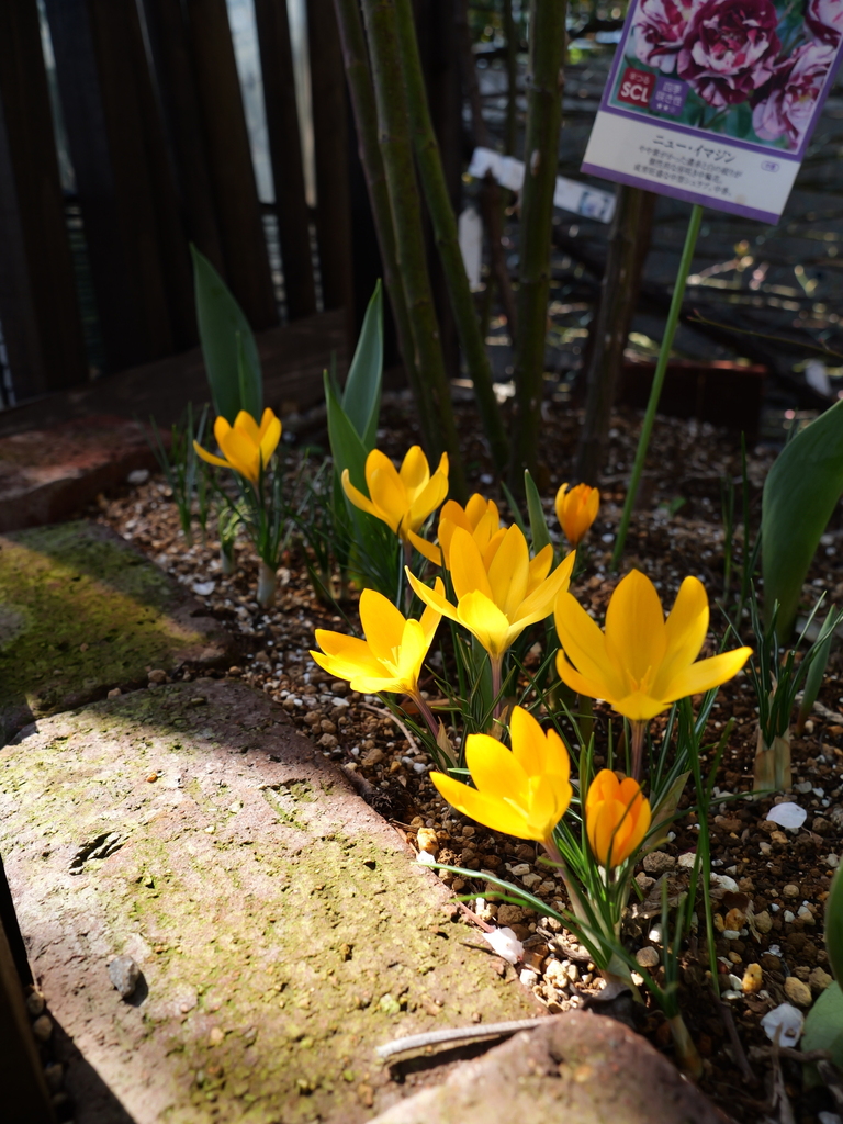 2025-03-10 10_31№(0032).JPG
