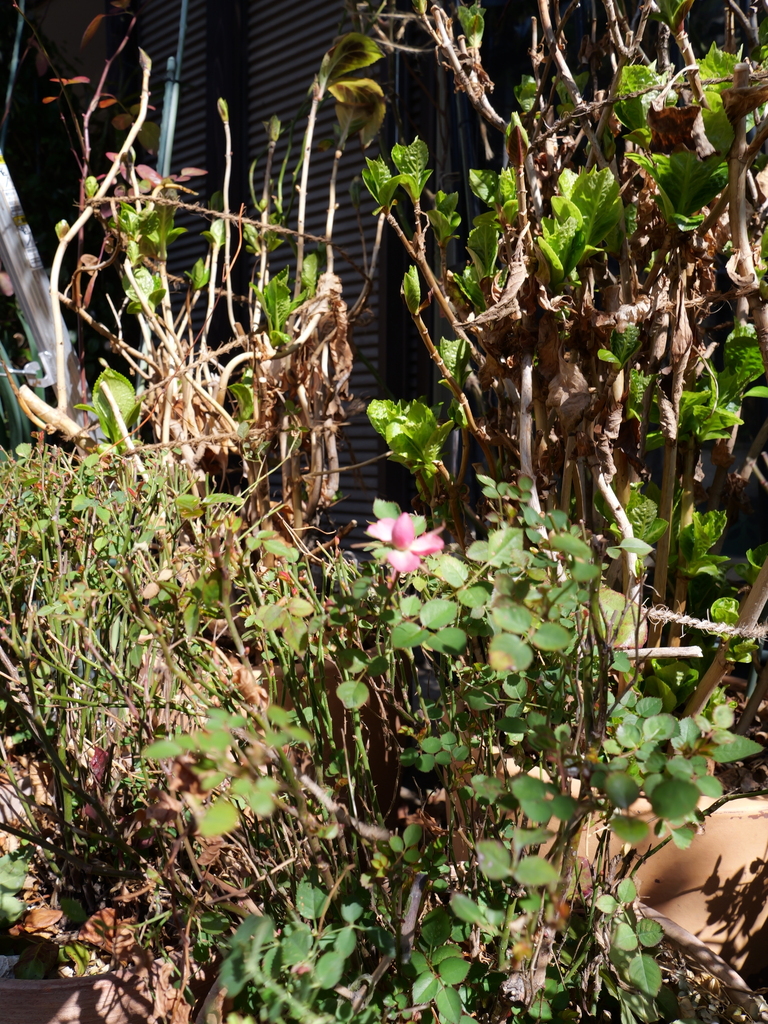 2025-03-10 10_39№(0064).JPG