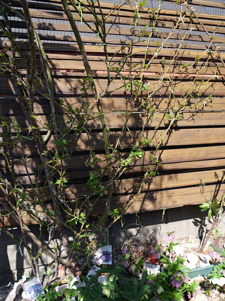 2025-03-10 10_47№(0110).JPG