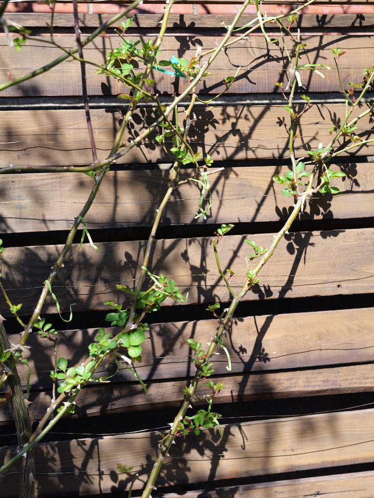 2025-03-10 10_47№(0111).JPG