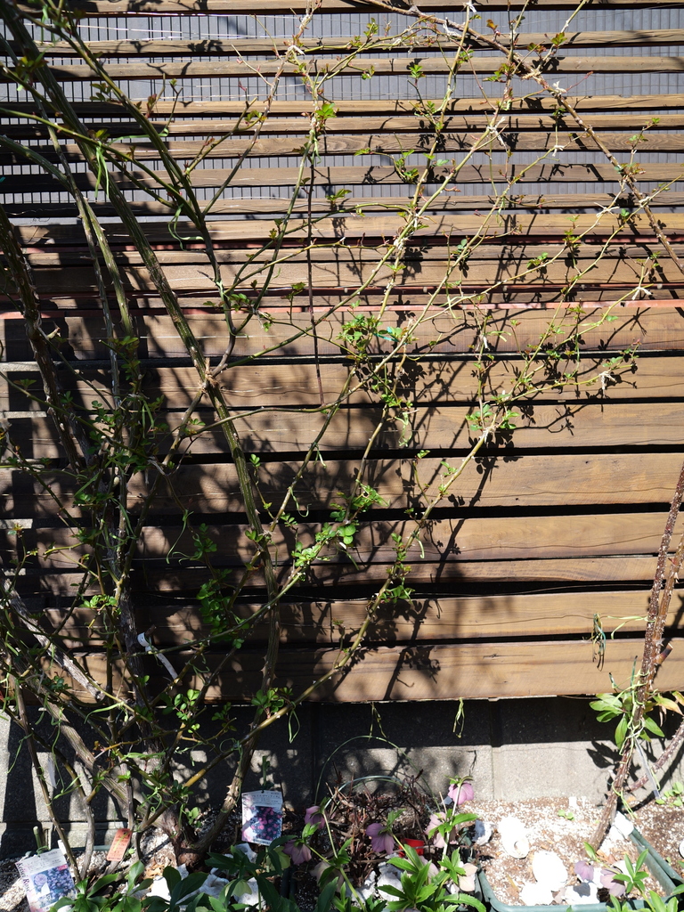 2025-03-10 10_47№(0112).JPG