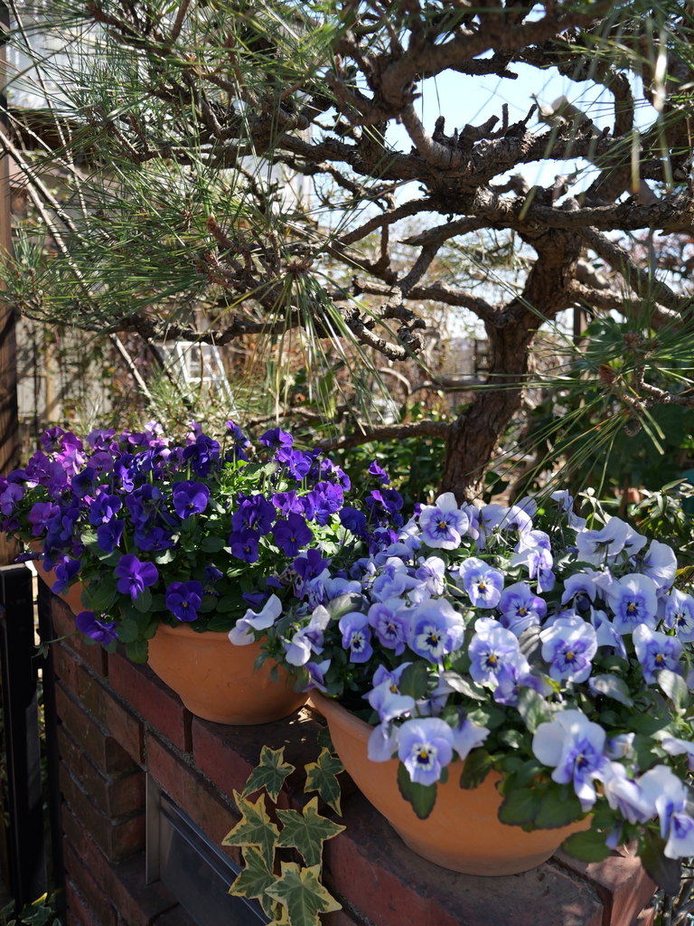 2025-03-10 10_47№(0115).JPG