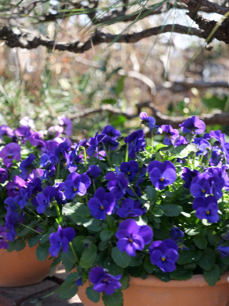2025-03-10 10_47№(0117).JPG