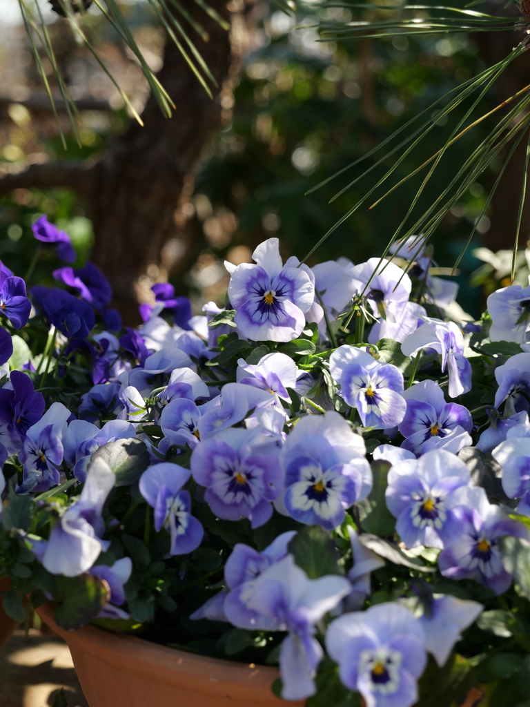 2025-03-10 10_47№(0118).JPG