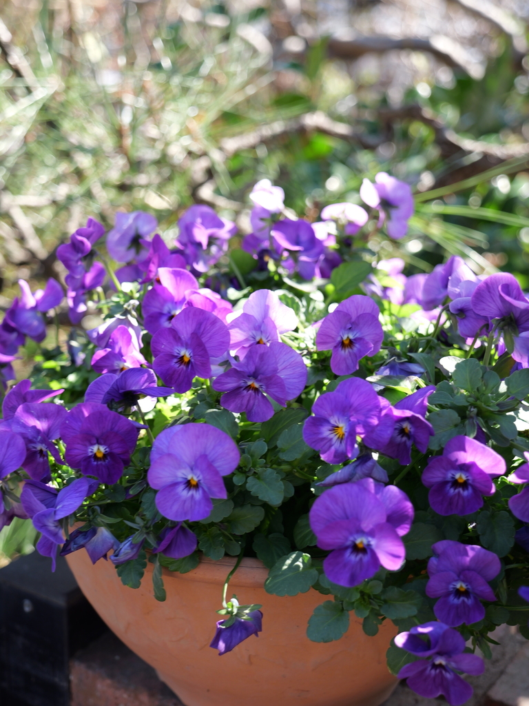 2025-03-10 10_48№(0119).JPG