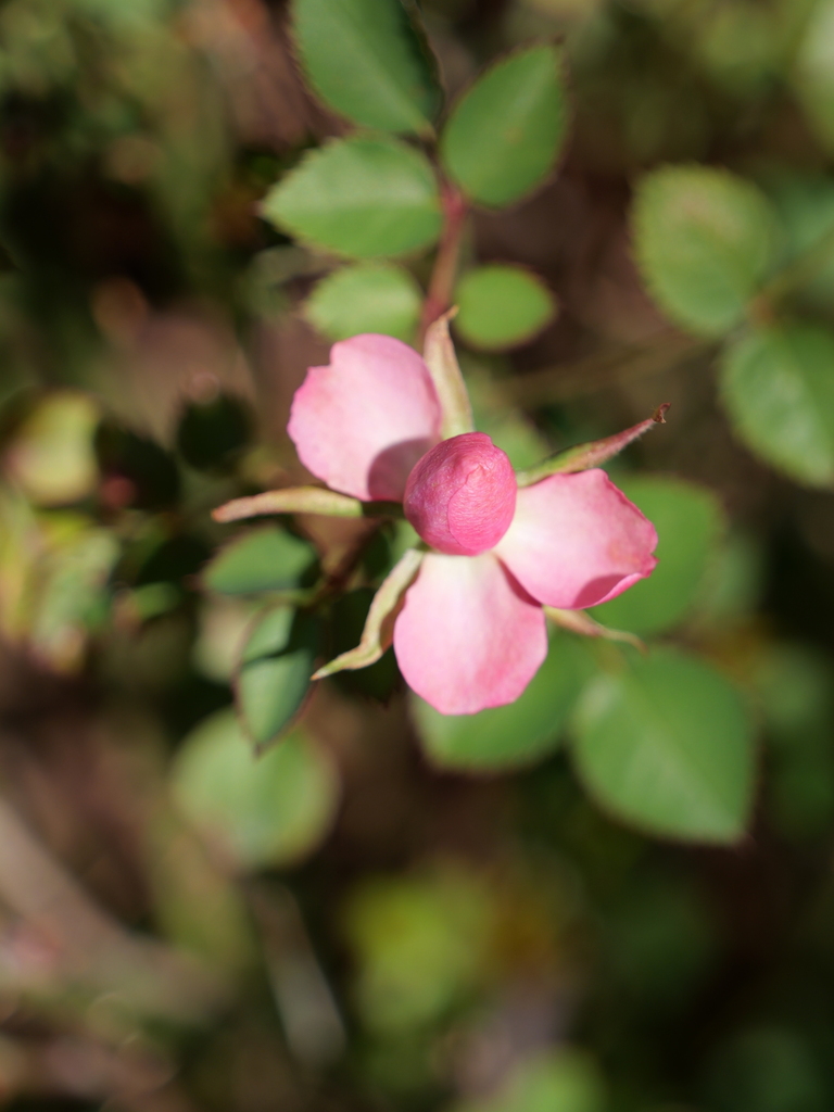 2025-03-10 10_48№(0125).JPG