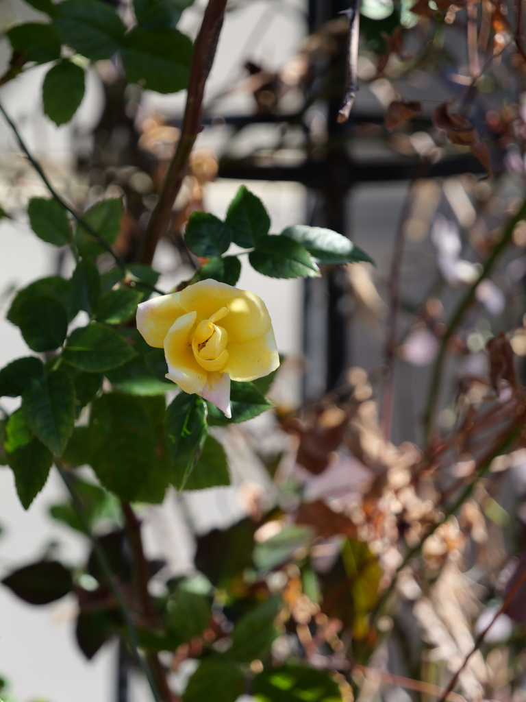 2025-03-10 10_48№(0126).JPG