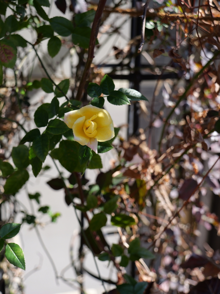 2025-03-10 10_48№(0127).JPG