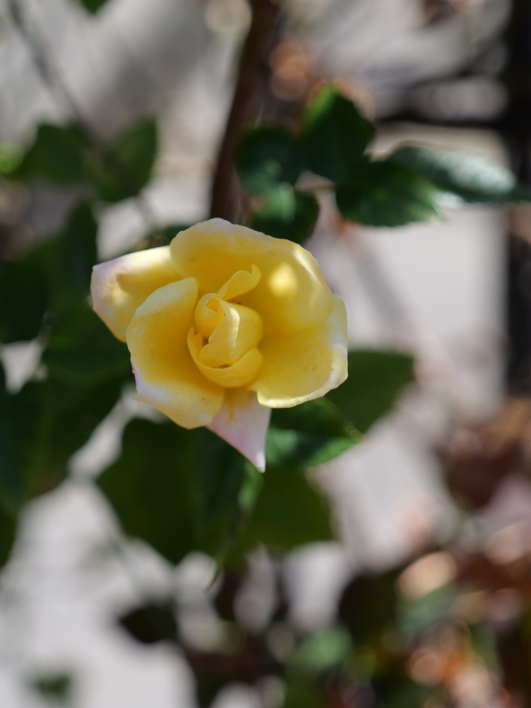 2025-03-10 10_48№(0129).JPG