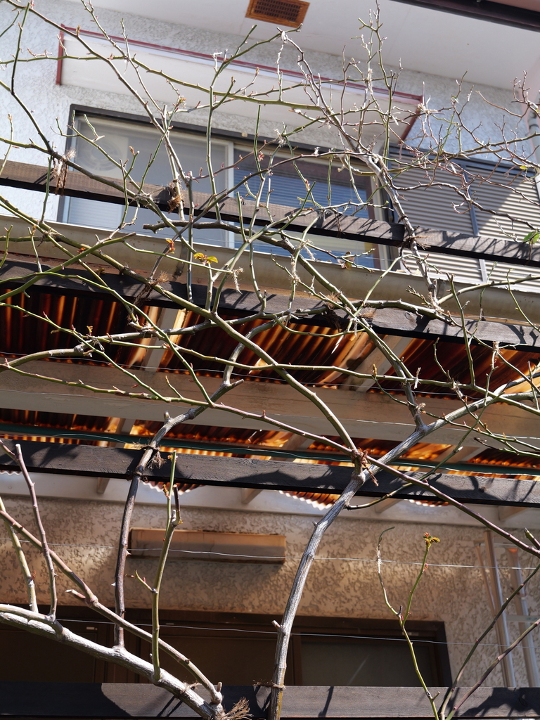 2025-03-10 10_49№(0137).JPG