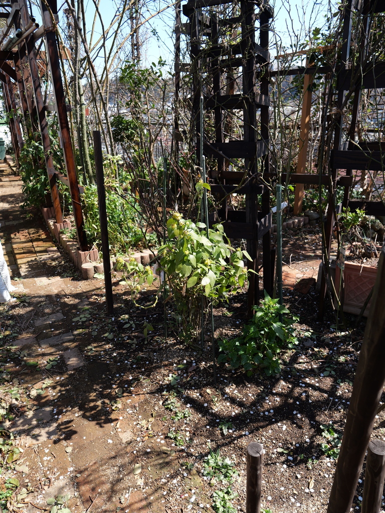 2025-03-10 10_49№(0138).JPG