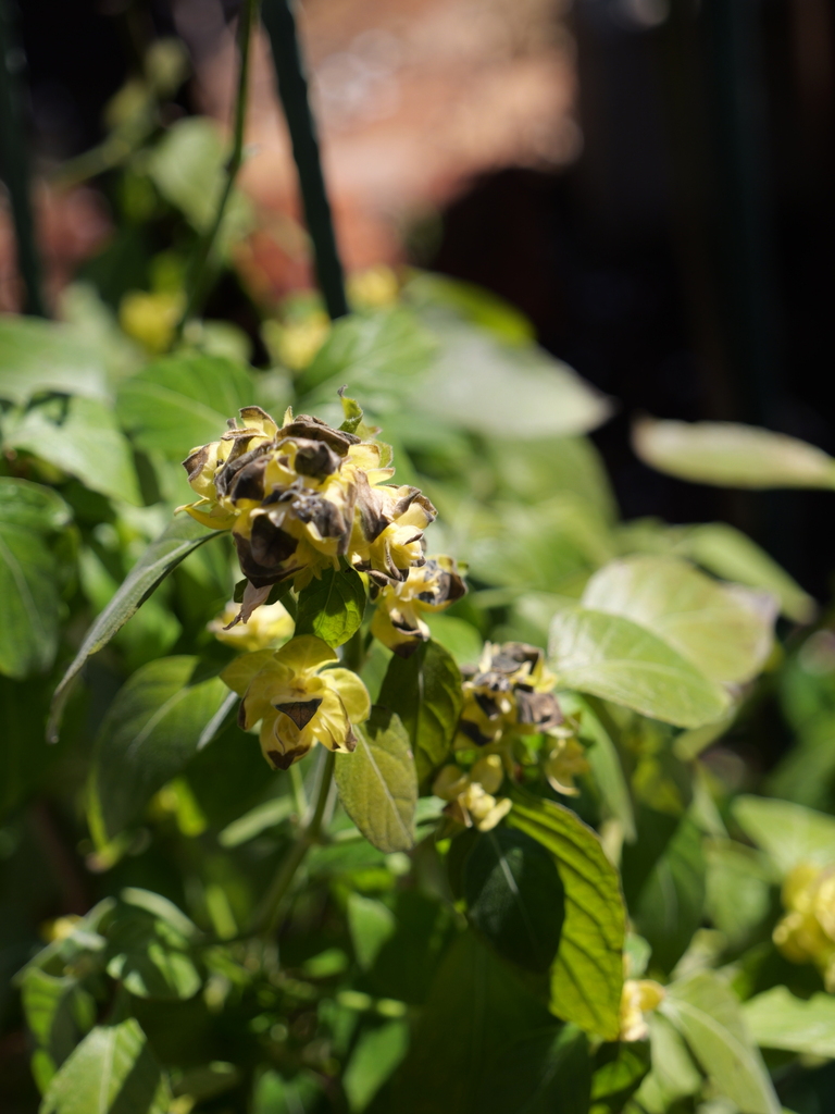 2025-03-10 10_49№(0140).JPG