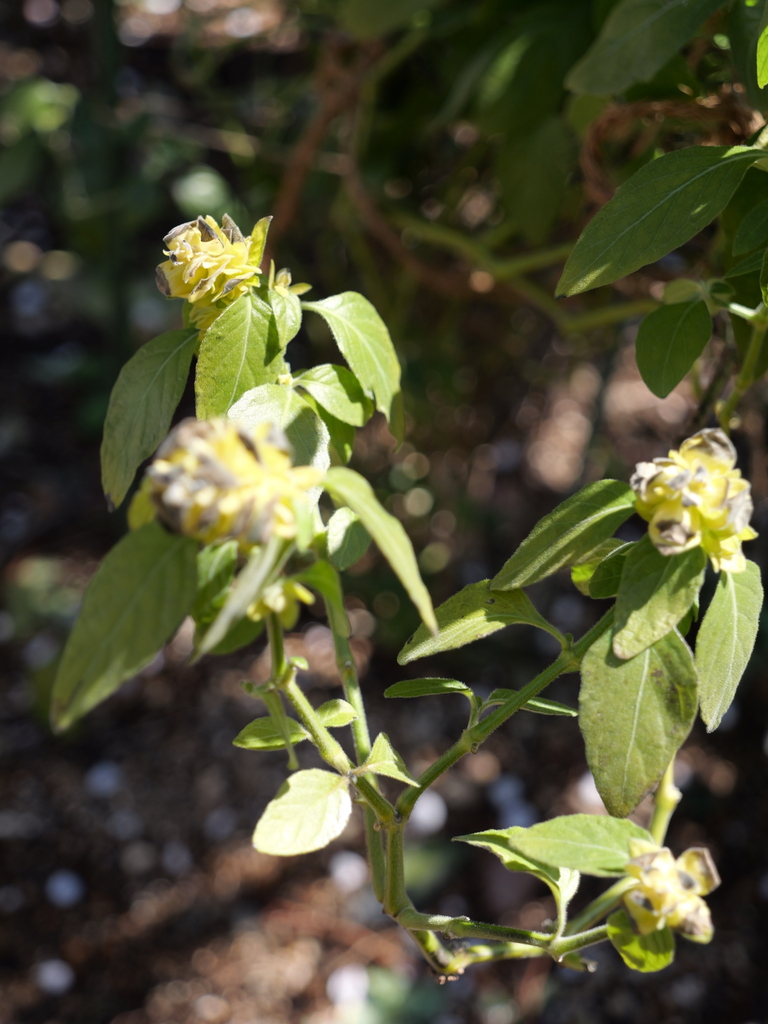 2025-03-10 10_49№(0141).JPG